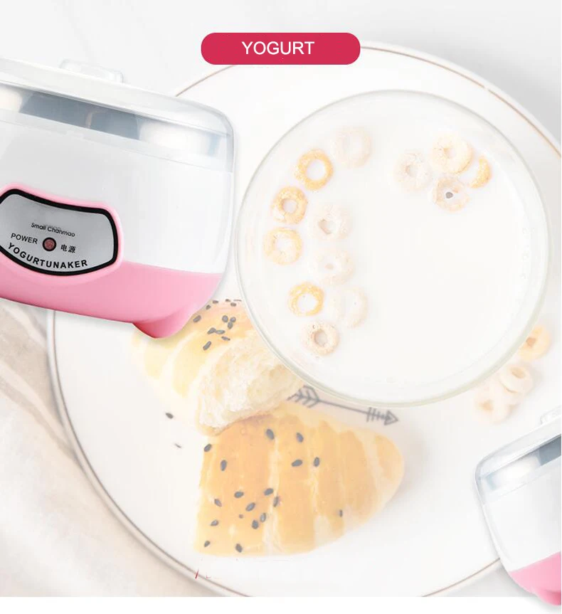 Máquina de Yogurt: Prepara el Yogurt Casero Perfecto