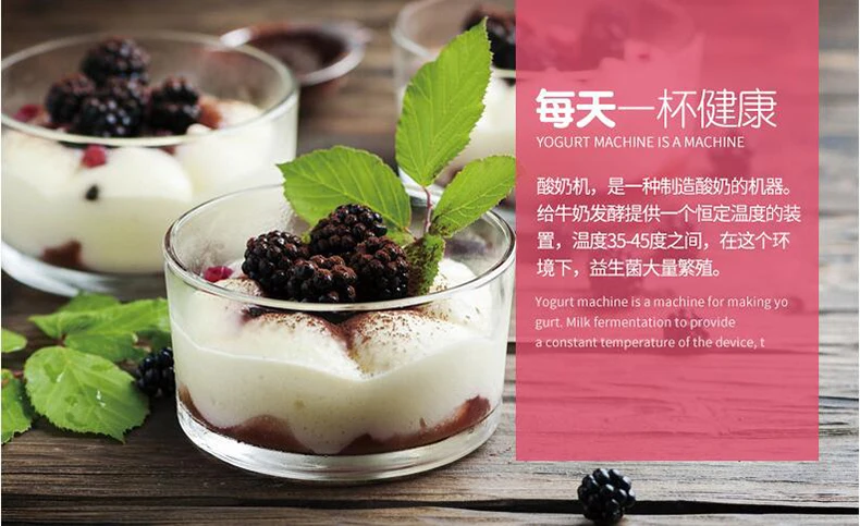 Máquina de Yogurt: Prepara el Yogurt Casero Perfecto