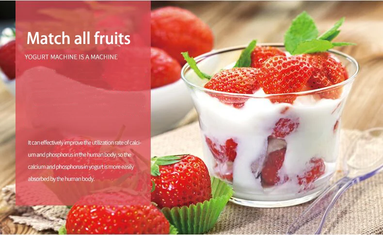 Máquina de Yogurt: Prepara el Yogurt Casero Perfecto