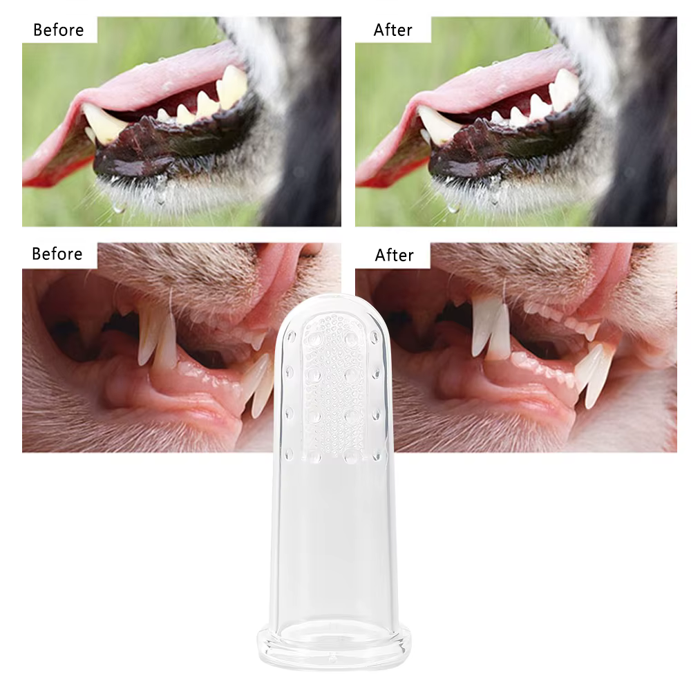 Genial Cepillo de dientes para mascotas