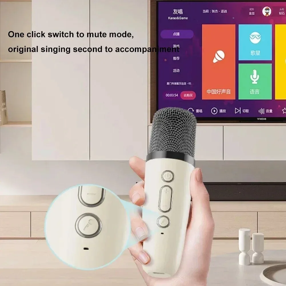 Karaoke Portátil De Calidad Con Conexión Bluetooth