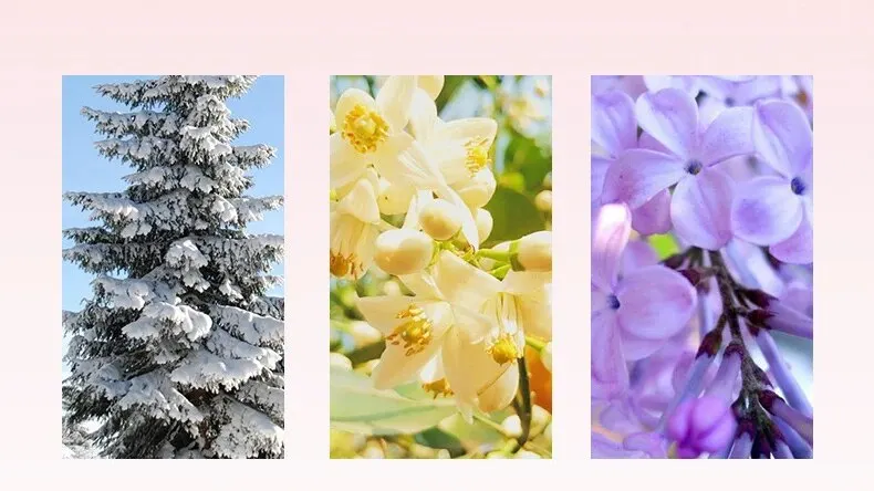 Espray De Perfume Para Ropa: Fragancia Brillante Y Duradera